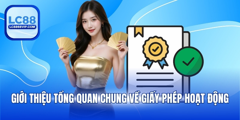 Giới thiệu tổng quan chung về giấy phép hoạt động